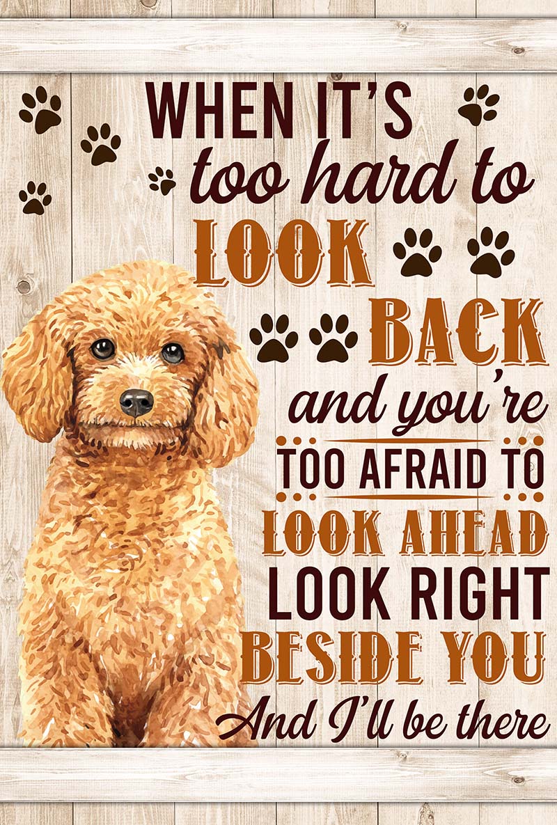 When It's Too Hard To Look Back And You're Too Afraid To Look Ahead  Poodle-VT0905