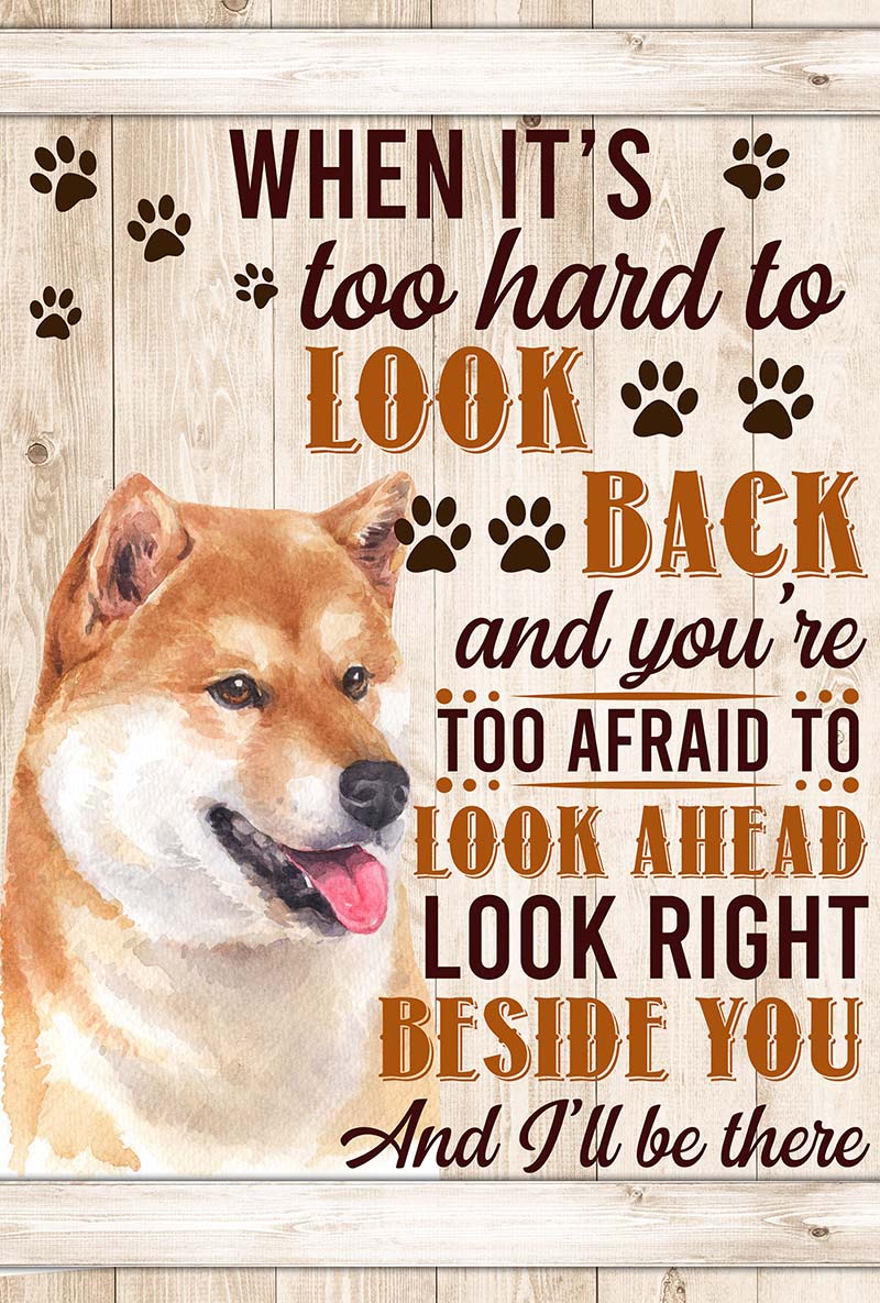 When It's Too Hard To Look Back And You're Too Afraid To Look Ahead  Shiba Inu-VT0905