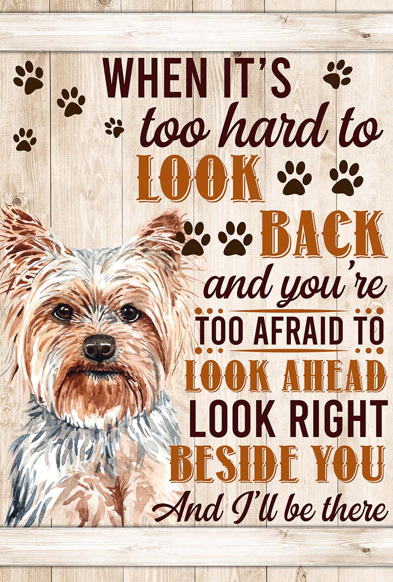 When It's Too Hard To Look Back And You're Too Afraid To Look Ahead  Yorkshire Terriers-VT0905