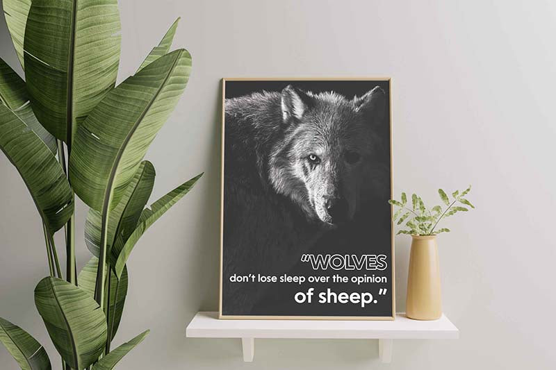 Wolves Don't Lose Sleep Over The Opinion of Sheep-TT2711
