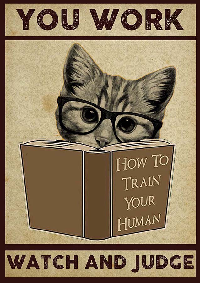 You Work I Watch and Judge Cat Funny How to Train Your Human TT1809
