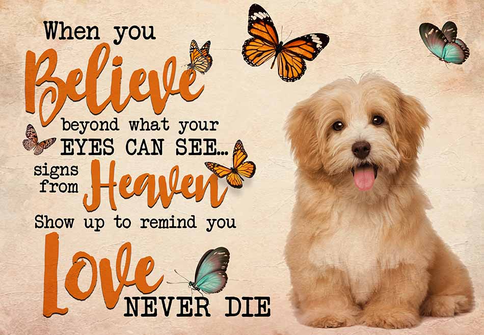Cavapoo When You Believe Beyond What Your Eyes Can See Signs From Heaven MH0309