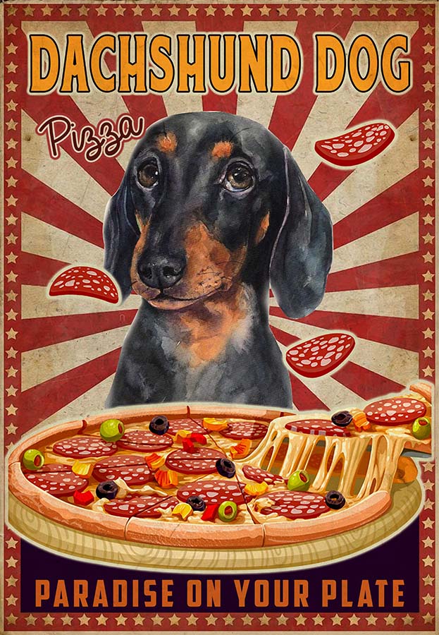Paradise dachshunds online