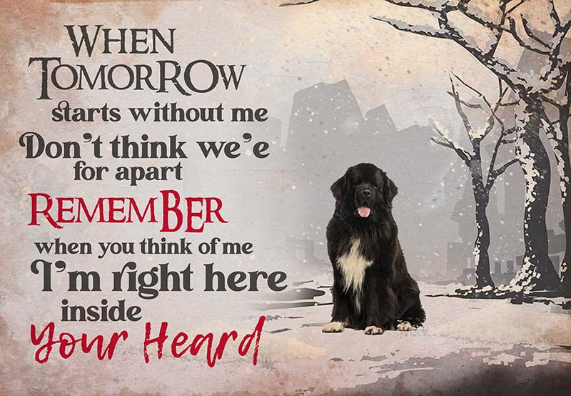 newfoundland - I'M Right Here Inside Your Heart Ver2-MH2109