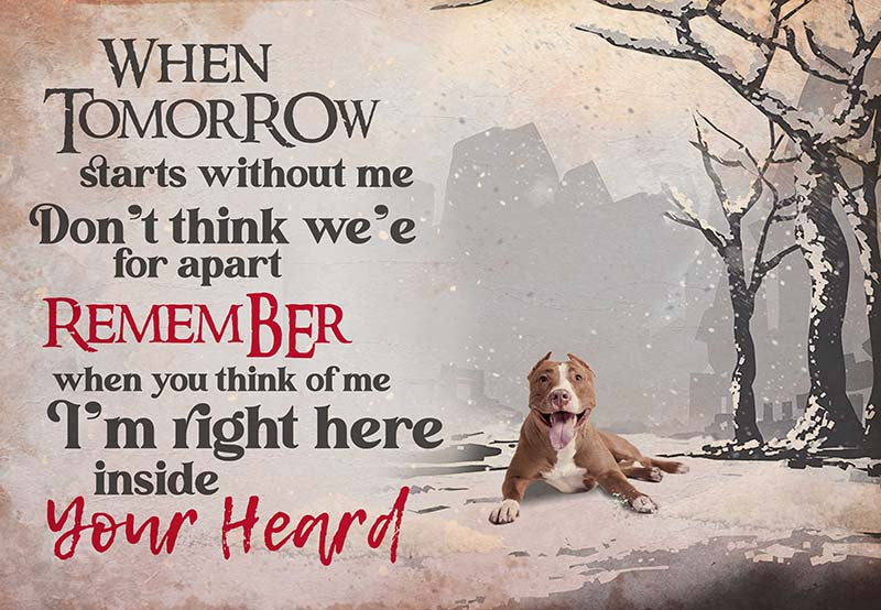 pitbull - I'M Right Here Inside Your Heart Ver2-MH2109