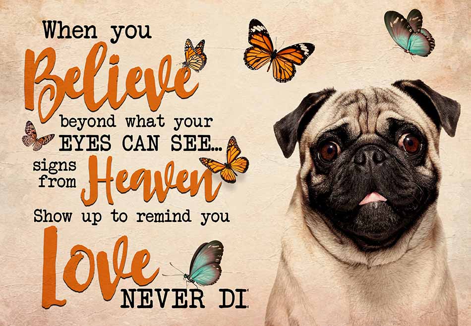 Pug When You Believe Beyond What Your Eyes Can See Signs From Heaven MH0309