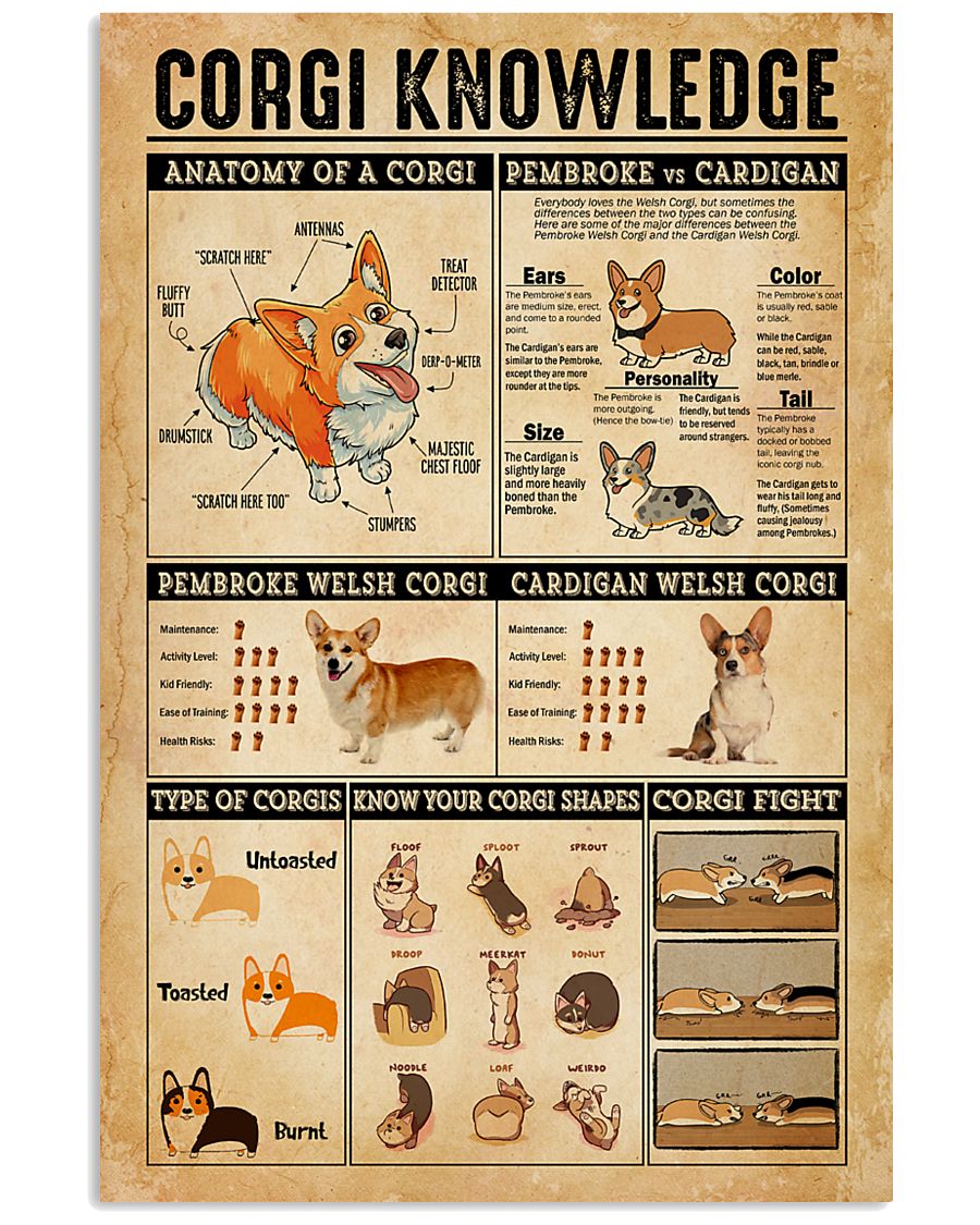 Corgi Knowledge