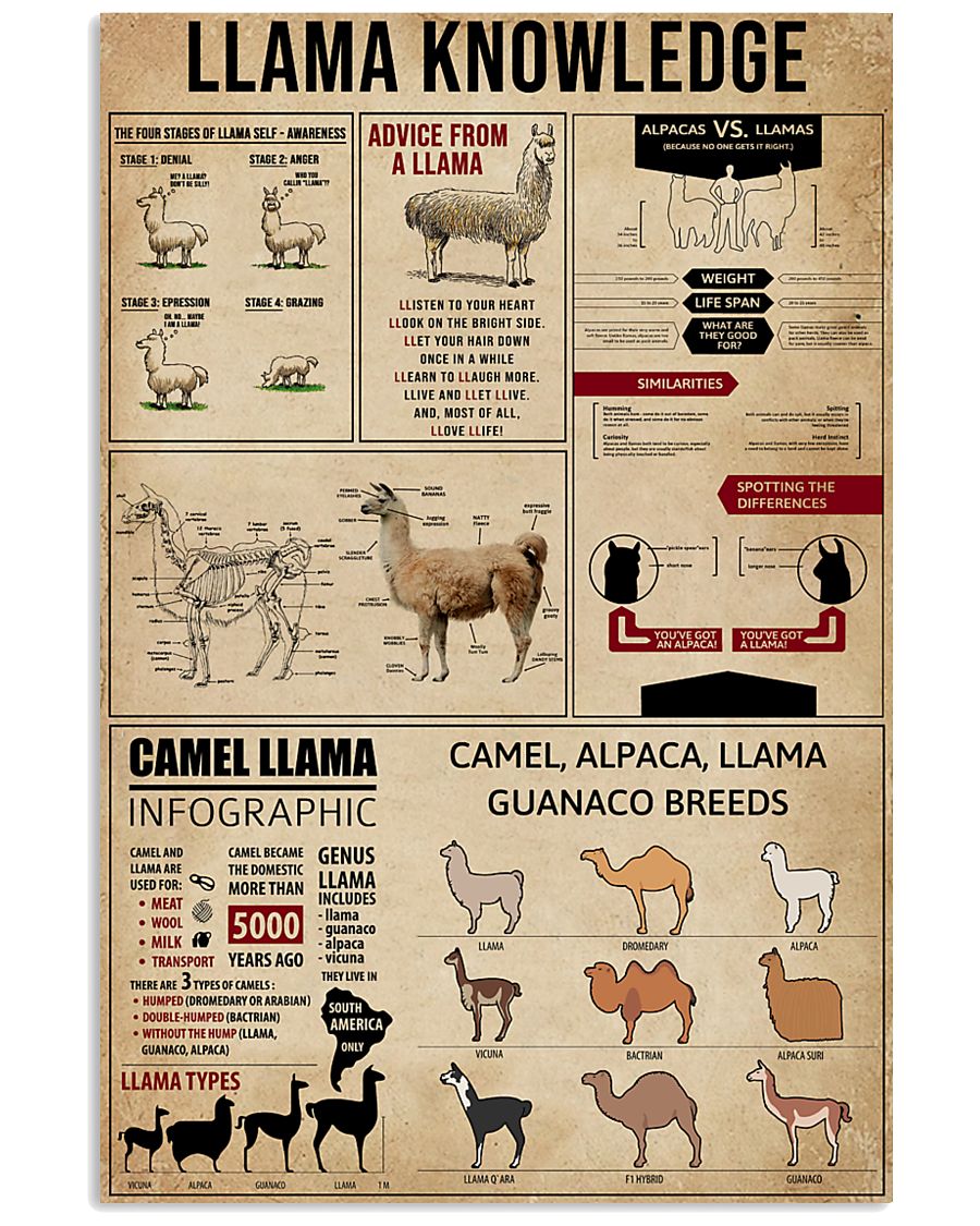 Llama Knowledge