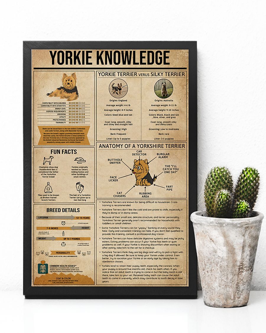 Yorkshire Terrier Knowledge