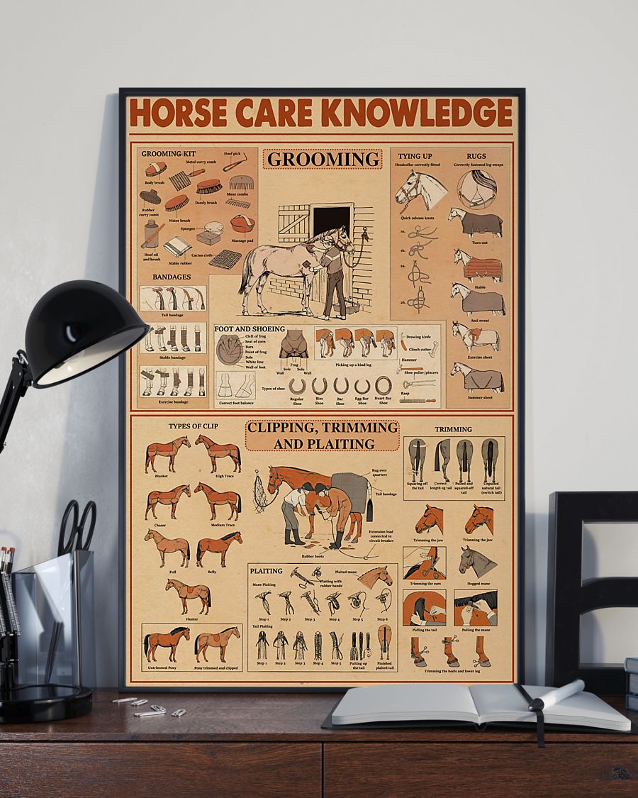 Horse Care Knowledge